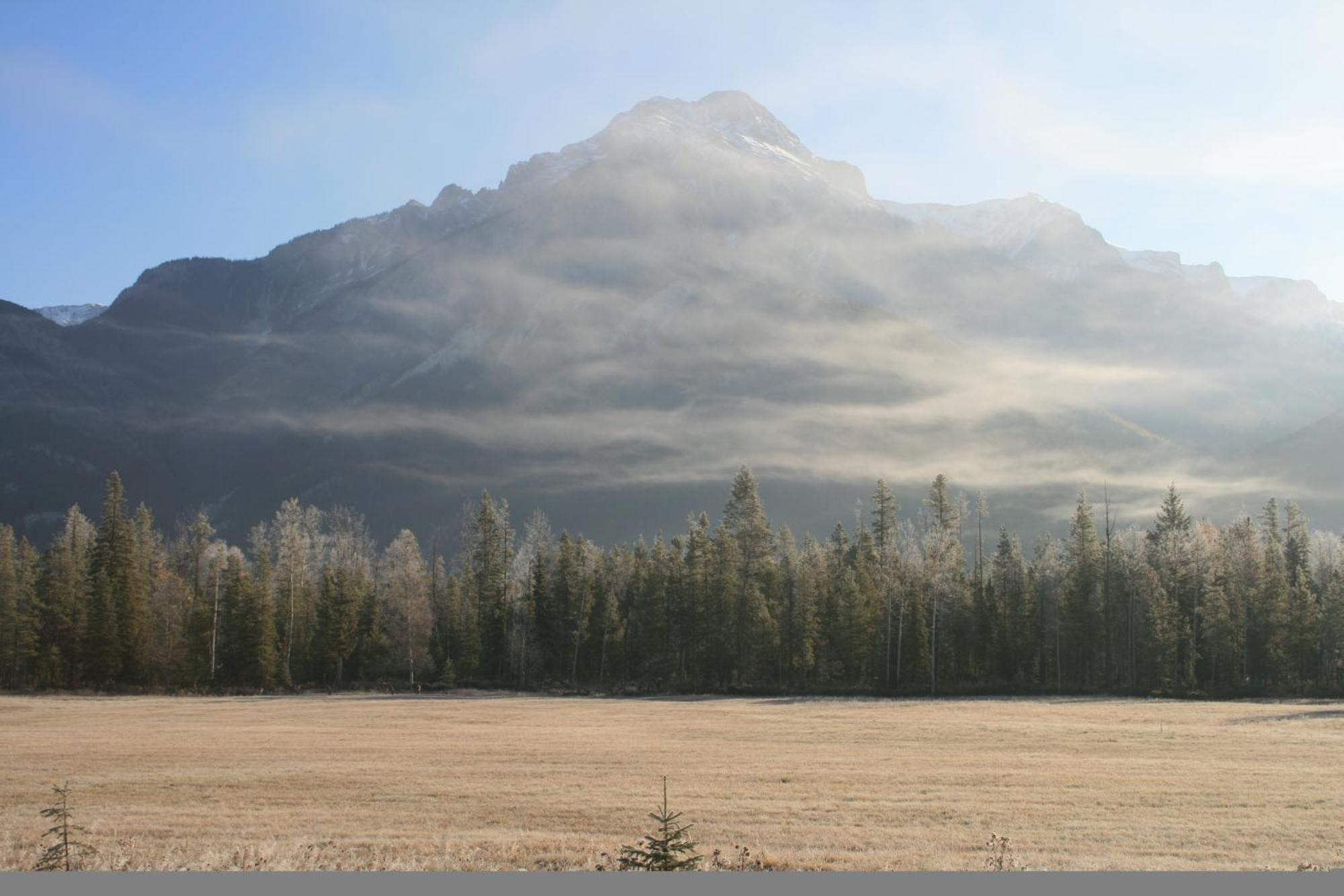 Rocky Mountain Cabins And Home Golden Dış mekan fotoğraf